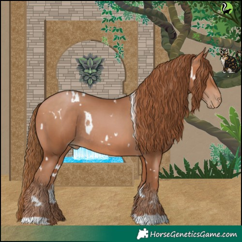 Horse Color:White Spotted Bay Pearl Rabicano 
