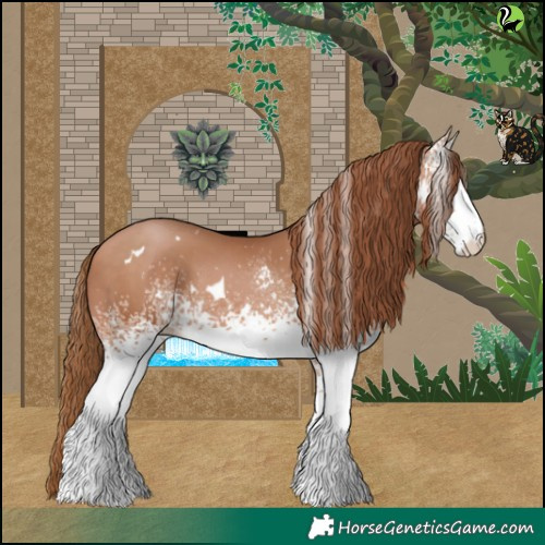Horse Color:White Spotted Bay Pearl Rabicano 