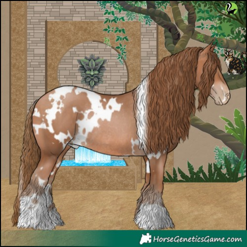 Horse Color:White Spotted Bay Pearl Rabicano 