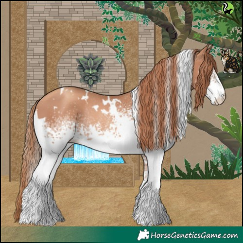 Horse Color:White Spotted Gold Champagne Rabicano 