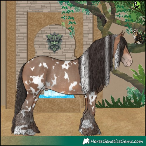 Horse Color:White Spotted Sable Champagne Rabicano 