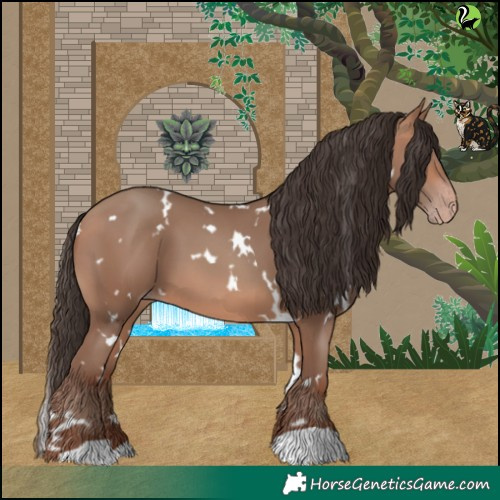 Horse Color:White Spotted Sable Champagne 