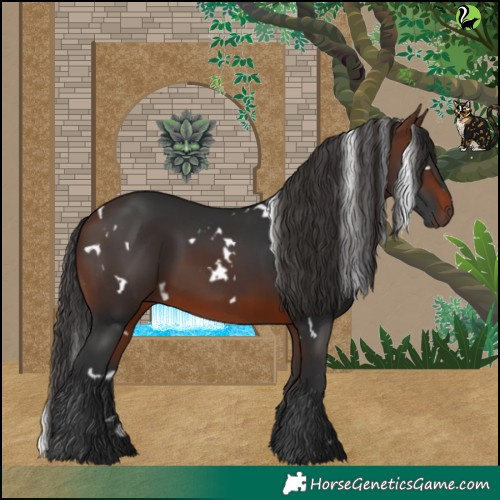Horse Color:White Spotted Brown 