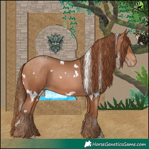 Horse Color:White Spotted Bay Pearl 