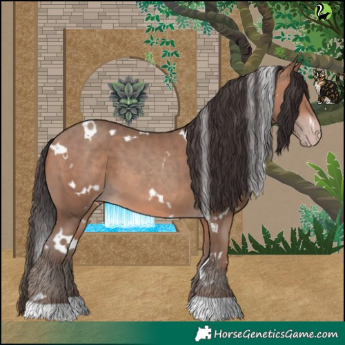 Horse Color:White Spotted Sable Champagne 
