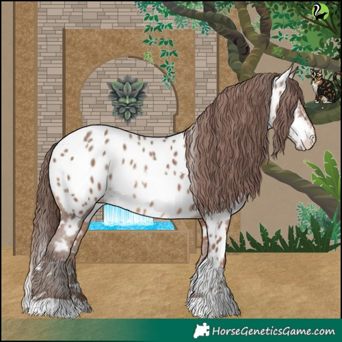 Horse Color:White Spotted Sable Champagne Appaloosa 