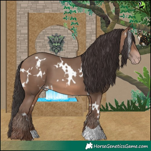 Horse Color:White Spotted Sable Champagne 