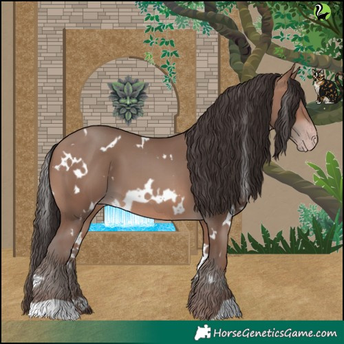 Horse Color:White Spotted Sable Champagne 