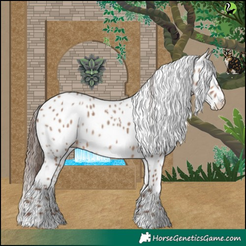 Horse Color:White Spotted Sable Champagne Appaloosa 