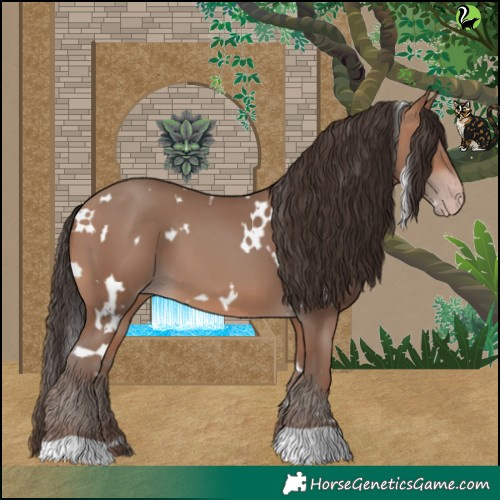 Horse Color:White Spotted Sable Champagne 