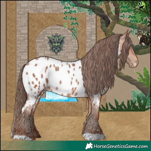 Horse Color:White Spotted Amber Champagne Appaloosa 