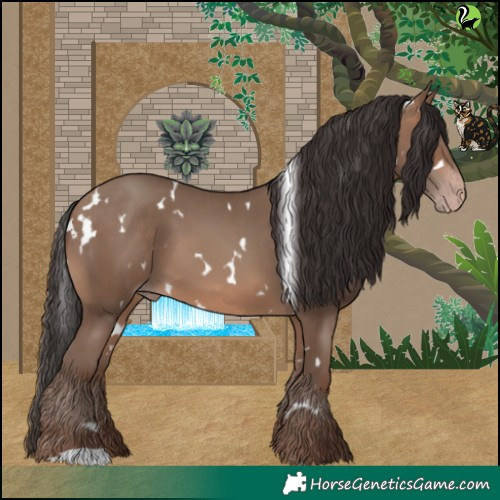 Horse Color:White Spotted Sable Champagne 