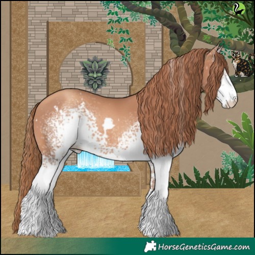 Horse Color:White Spotted Gold Champagne 