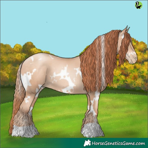Horse Color:White Spotted Sable Champagne Pearl 