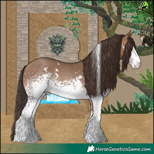 Horse Color:White Spotted Sable Champagne 