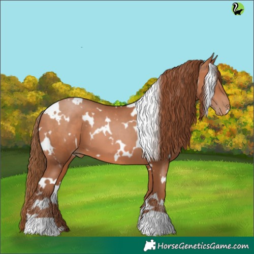 Horse Color:White Spotted Brown Pearl 