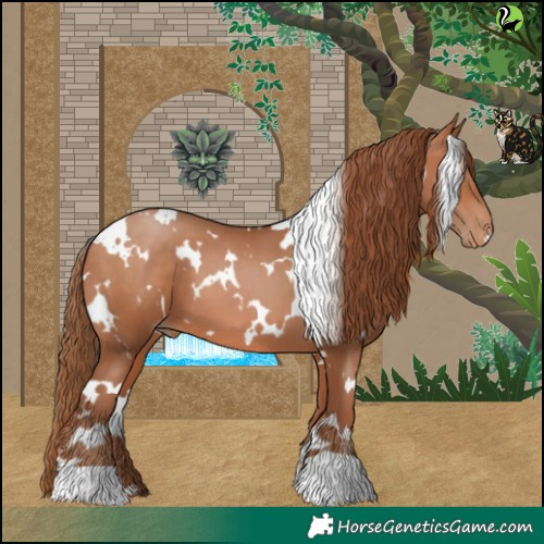 Horse Color:White Spotted Brown Pearl 