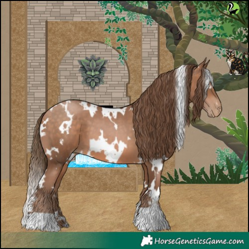 Horse Color:White Spotted Brown Pearl 