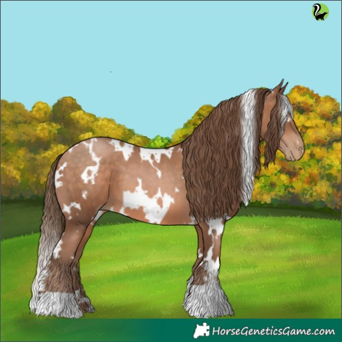 Horse Color:White Spotted Brown Pearl