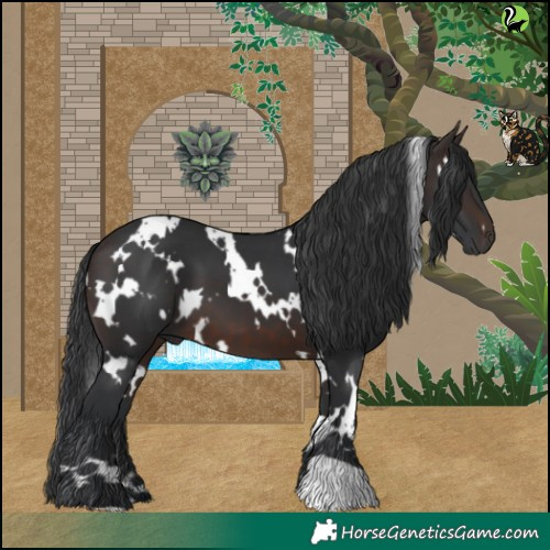 Horse Color:White Spotted Brown 