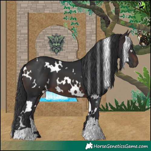 Horse Color:White Spotted Brown 
