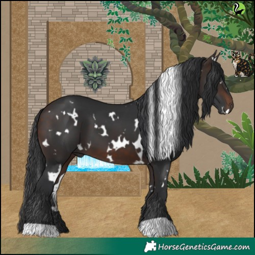 Horse Color:White Spotted Brown 