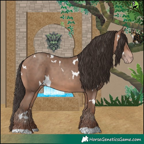 Horse Color:White Spotted Sable Champagne 