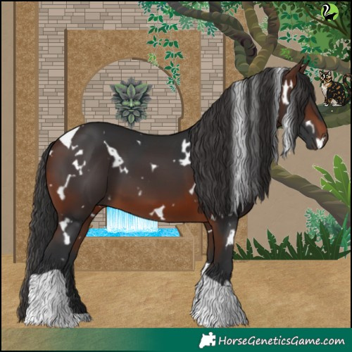 Horse Color:White Spotted Brown Tobiano 