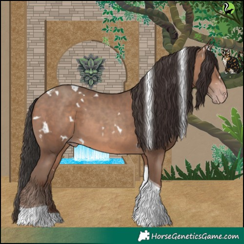 Horse Color:White Spotted Sable Champagne Tobiano 