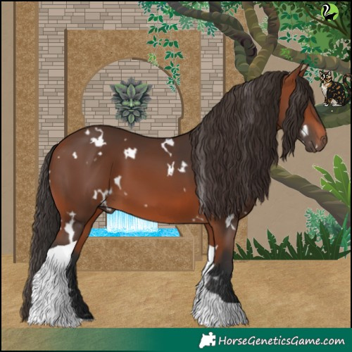 Horse Color:White Spotted Bay Tobiano 