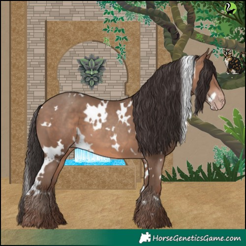 Horse Color:White Spotted Sable Champagne 