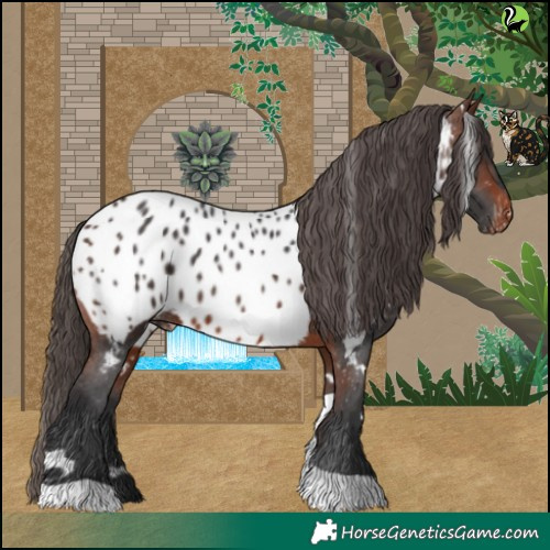 Horse Color:White Spotted Brown Tobiano Near Leopard 