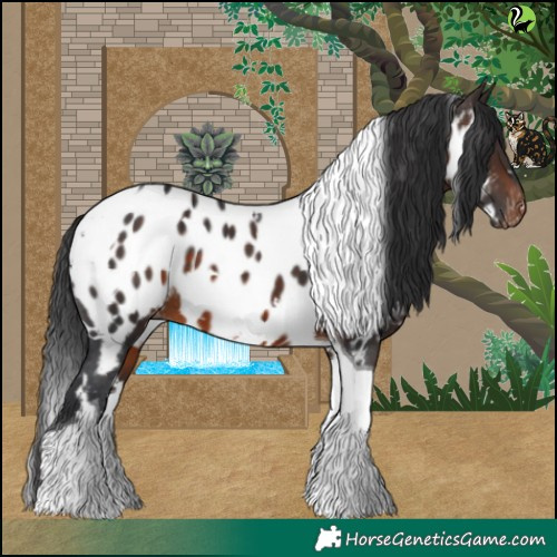 Horse Color:White Spotted Brown Tobiano Appaloosa 