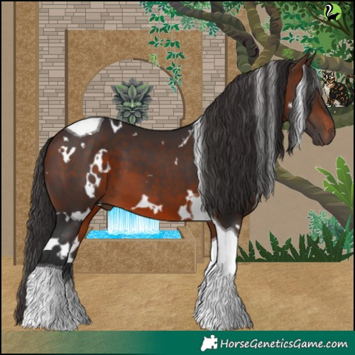 Horse Color:White Spotted Brown Tobiano 