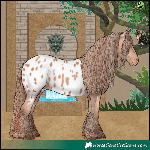 Horse Color:White Spotted Gold Champagne Blanket 