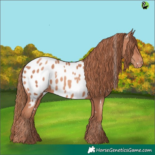 Horse Color:White Spotted Gold Champagne Appaloosa 