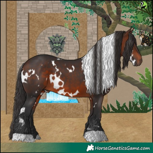 Horse Color:White Spotted Brown 