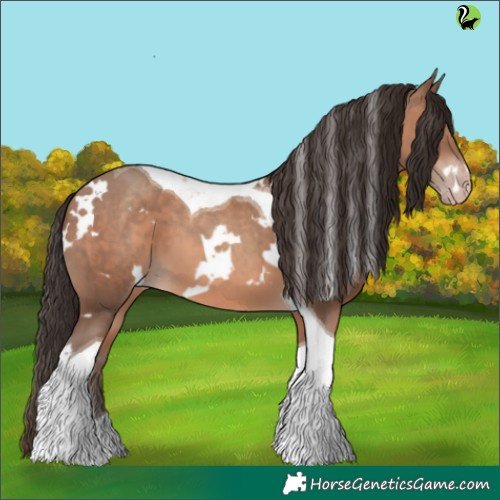 Horse Color:White Spotted Sable Champagne Tobiano