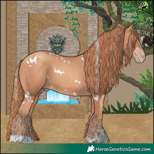 Horse Color:White Spotted Gold Champagne 