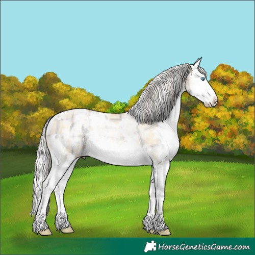 Horse Color:Plaid  White Spotted Silver Buckskin Ice Pearl Dun Splash 