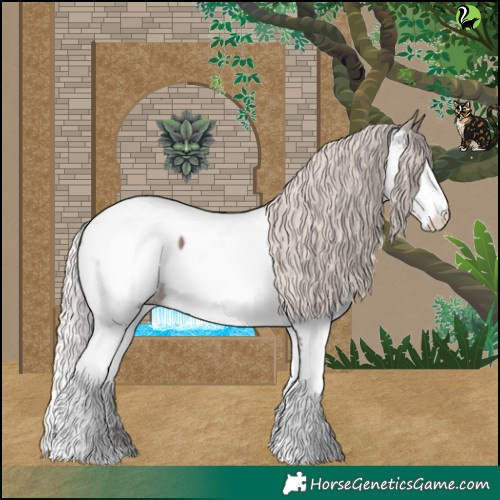 Horse Color:Silver Black Splash Appaloosa 
