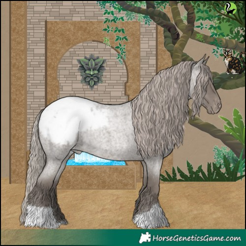 Horse Color:Silver Blue Roan Appaloosa 