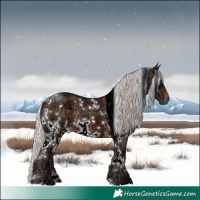 Horse Color:Plaid White Spotted Silver Brown Ice