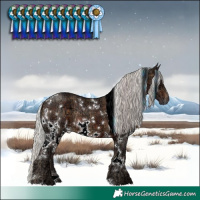 Horse Color:Plaid White Spotted Silver Brown Ice