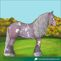 Horse Color:Watercolor White Spotted Silver Sable Champagne 