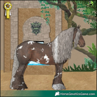 Horse Color:White Spotted Silver Black