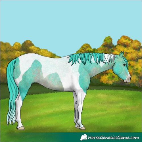 Horse Color:Watercolor Brown Tobiano Rabicano 