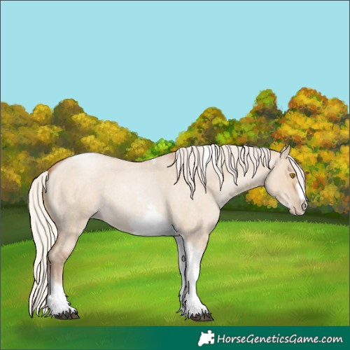 Horse Color:Silver Grullo Roan Pearl Tobiano Frame 