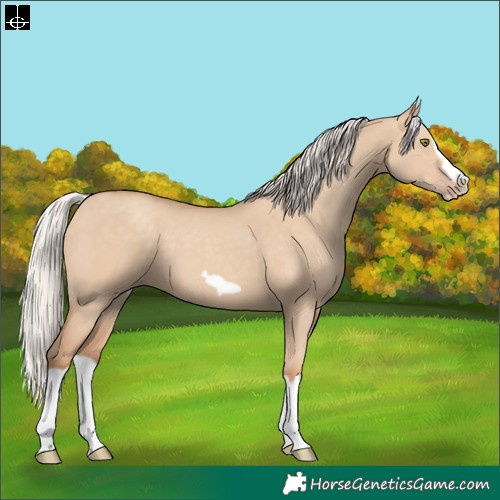 Horse Color:Silver Classic Champagne Dun Splash Frame 