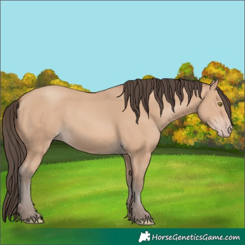 Horse Color:Amber Champagne 